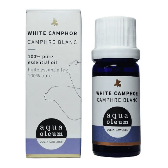 CAMPHOR 10ML