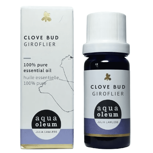 CLOVE BUD 10ML